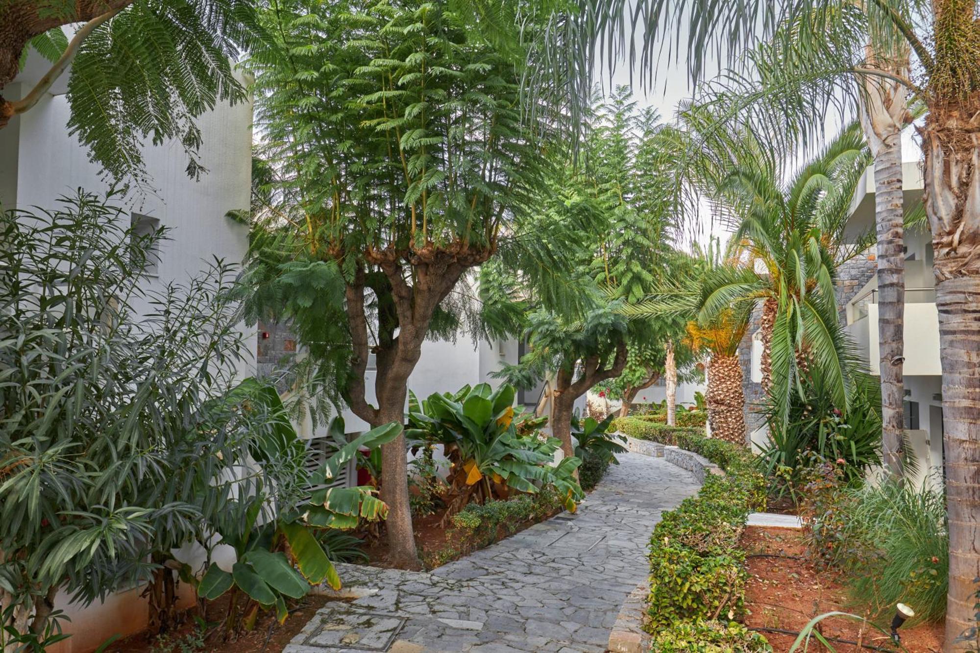 Kyknos Beach Hotel & Bungalows Малиа Екстериор снимка